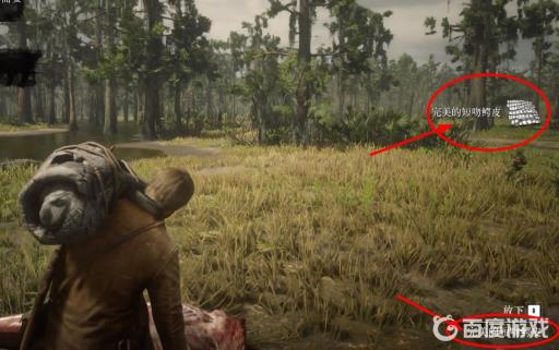 荒野大镖客2鳄鱼皮怎么打出完美?3