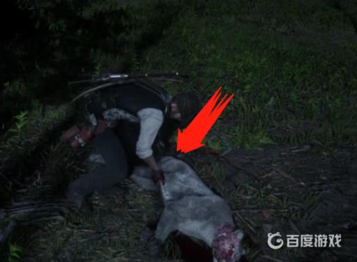 荒野大镖客2美洲狮多久刷新?2