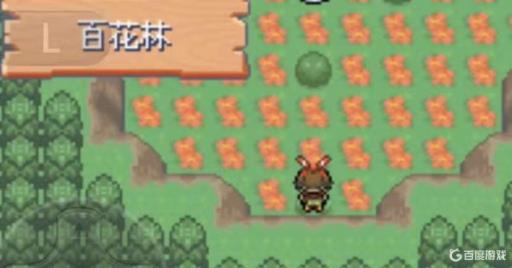 究极绿宝石5.4百花林在哪?3