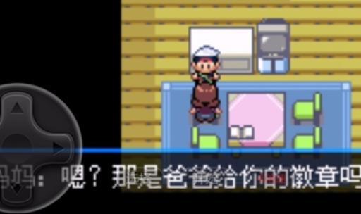 口袋妖怪究极绿宝石5.5mega手环在哪?3