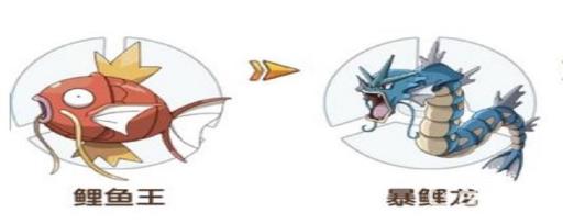 神奇宝贝雨天队怎么搭配?6