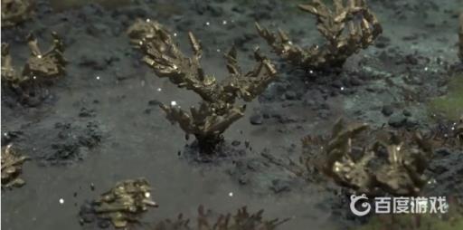 死亡搁浅鲸鱼能杀吗?5