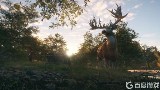 thehunter进不去游戏怎么办?1