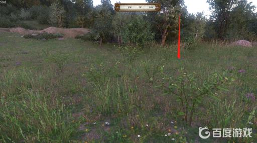 天国拯救颠茄哪里采集?2