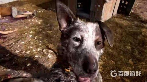 孤岛惊魂5狗怎么上车?2