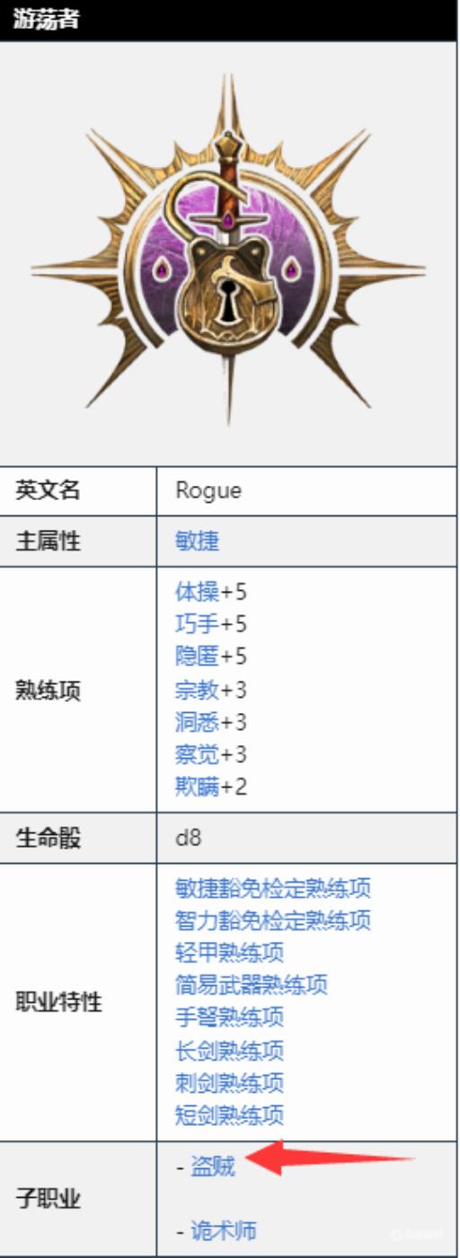 博德之门3游荡者是盗贼吗?_博德之门 游荡剑客