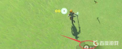 塞尔达里怎么抓100只蚂蚱?2