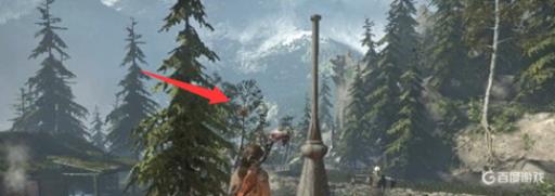 古墓丽影崛起箭靶位置在哪里?2