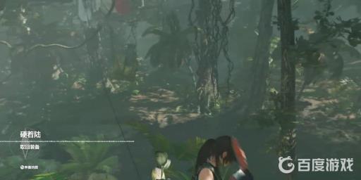 古墓丽影暗影飞机残骸怎么过?9