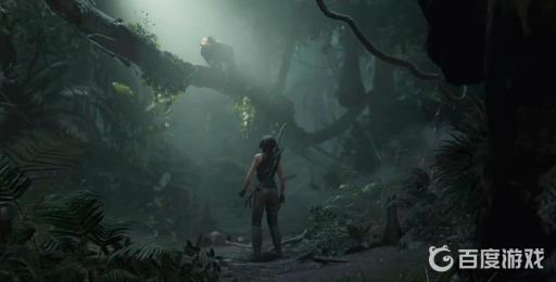 古墓丽影暗影飞机残骸怎么过?14