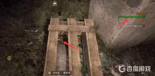 消逝的光芒1草药的位置在哪?4