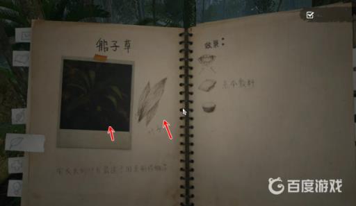 丛林地狱船子草叶在哪里?2