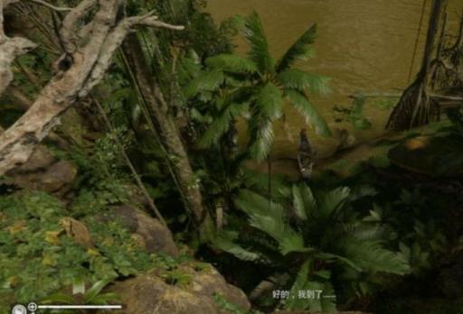 绿色地狱坚果壳怎么获得?2