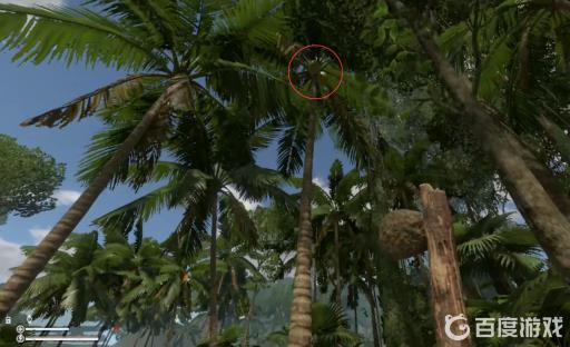 绿色地狱椰子在哪?2