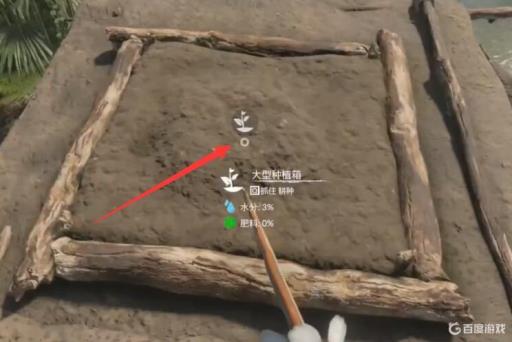 绿色地狱坚果怎么种?2