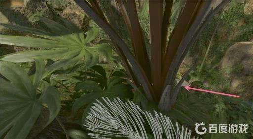 丛林地狱干叶子怎么弄?4