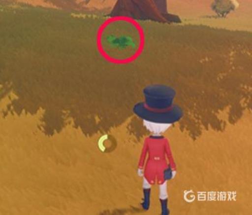 波西亚时光青虫哪里获取?_波西亚时光青虫哪里买