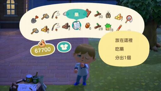 动森被蜜蜂蛰了怎么恢复?6