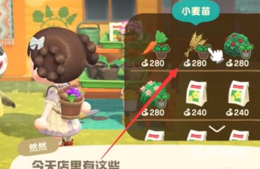 集合啦！动物森友会小麦在哪?4