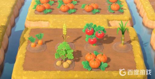 动森怎么种菜?3
