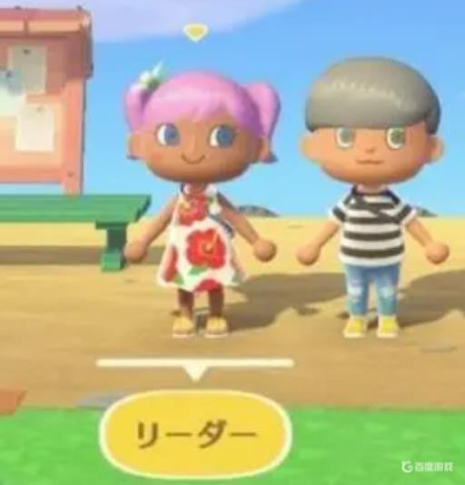 一个switch可以两个人玩动森吗?5