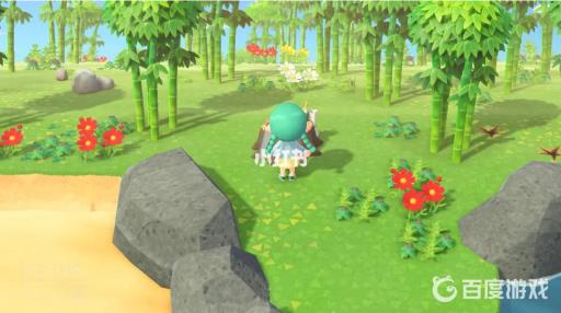 动森怎样才能去竹子岛?5