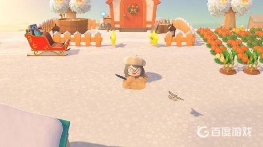 动森陷阱种子有什么用?4