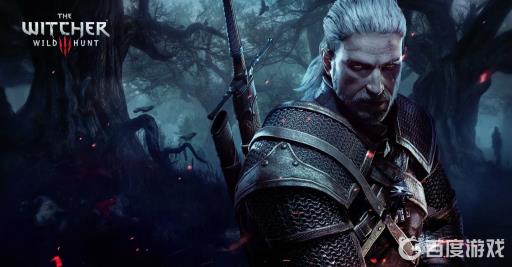 巫师3代码怎么输入大写?_巫师3输入代码后还要按什么