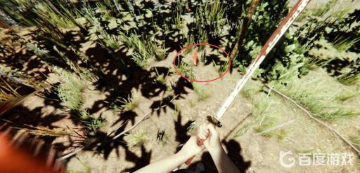 森林羽毛怎么快速收集?2