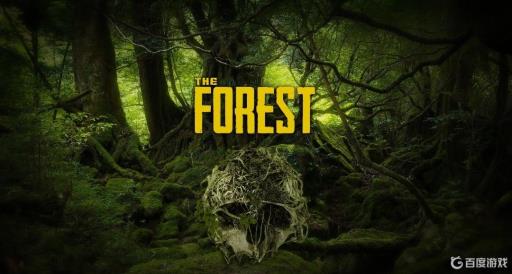 森林布料在哪获得?_森林布料合成