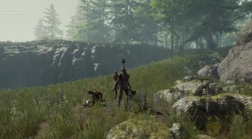 森林没有状态显示了怎么办?4