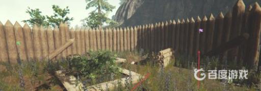 森林前期怎么发展?5