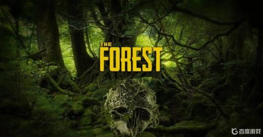 theforest乌龟壳在哪?1