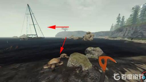 森林的乌龟壳去哪收集?3