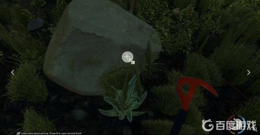 森林芦荟在哪?3