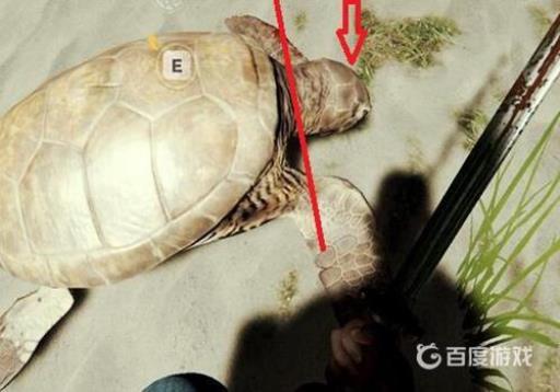 森林游戏乌龟壳怎么找?3