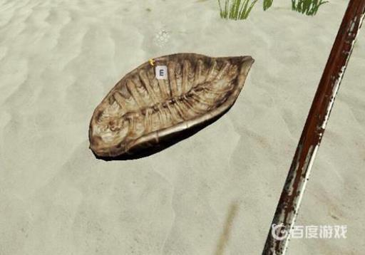 森林游戏乌龟壳怎么找?4