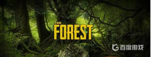 森林怎么保存?_森林怎么存放自己身上的东西