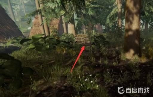 森林兔子陷阱怎么抓兔子?2