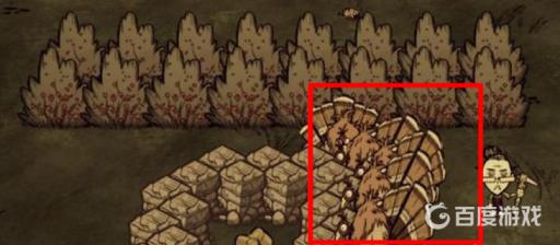 饥荒怎么抓火鸡?5