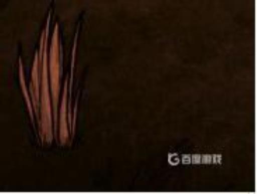 饥荒水中木怎么移植?4