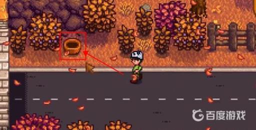 星露谷物语莱纳斯的黑莓篮子在哪里?2