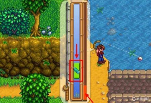 星露谷物语鲑鱼哪里钓?5