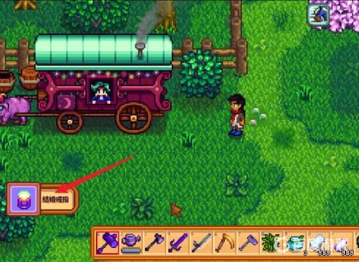 星露谷联机好友可以结婚吗?4