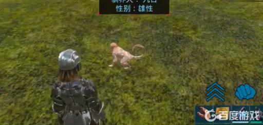 方舟生存进化怎么把身上的宠物放下来?3