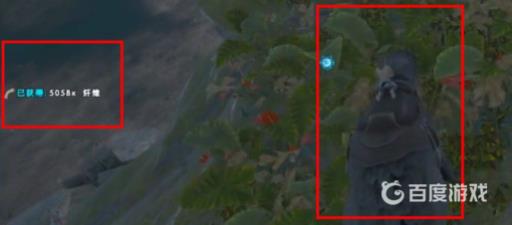 方舟大角鹿怎么采集纤维?2