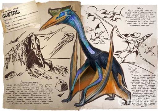 方舟怎么抓风神翼龙?1