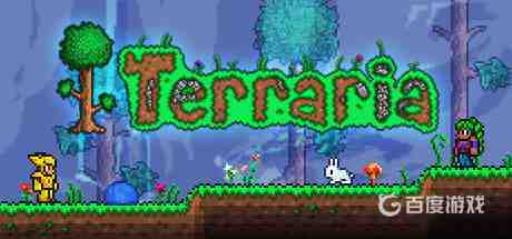 泰拉瑞亚防御力最高的饰品是什么?1