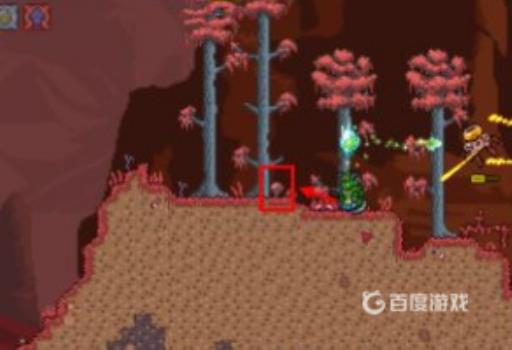 泰拉瑞亚毒粉怎么获得?1