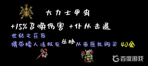 泰拉瑞亚召唤师饰品怎么获得?6